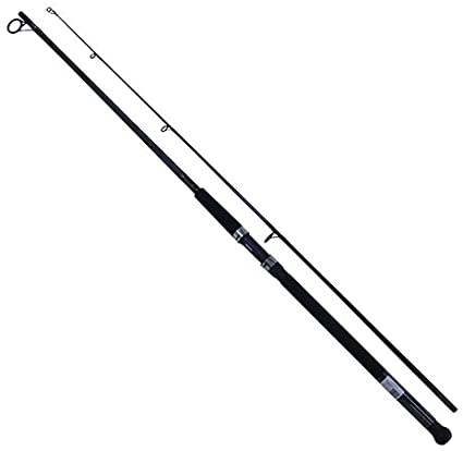 VARA DAIWA SPINNING SEALINE SURF